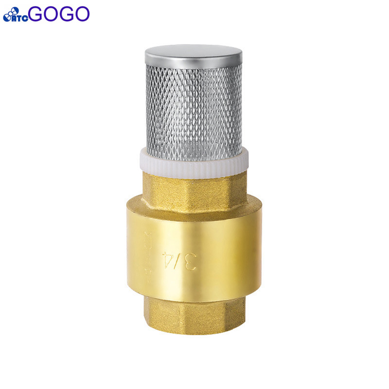 ǰ θ ׹        üũ  DN15 1/2 ġ/High quality Stainless steel net copper valve water suction pump Spring vertical check valve DN1